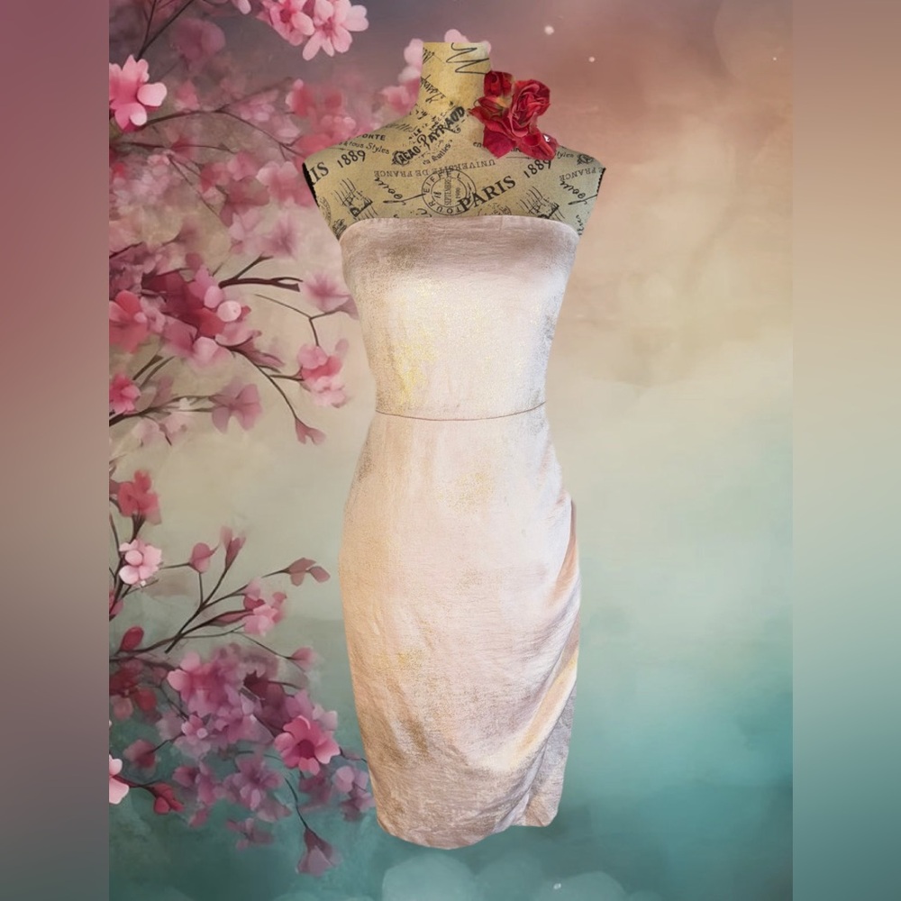 Express vintage silk Strapless Sheath Dress in Pale Pink